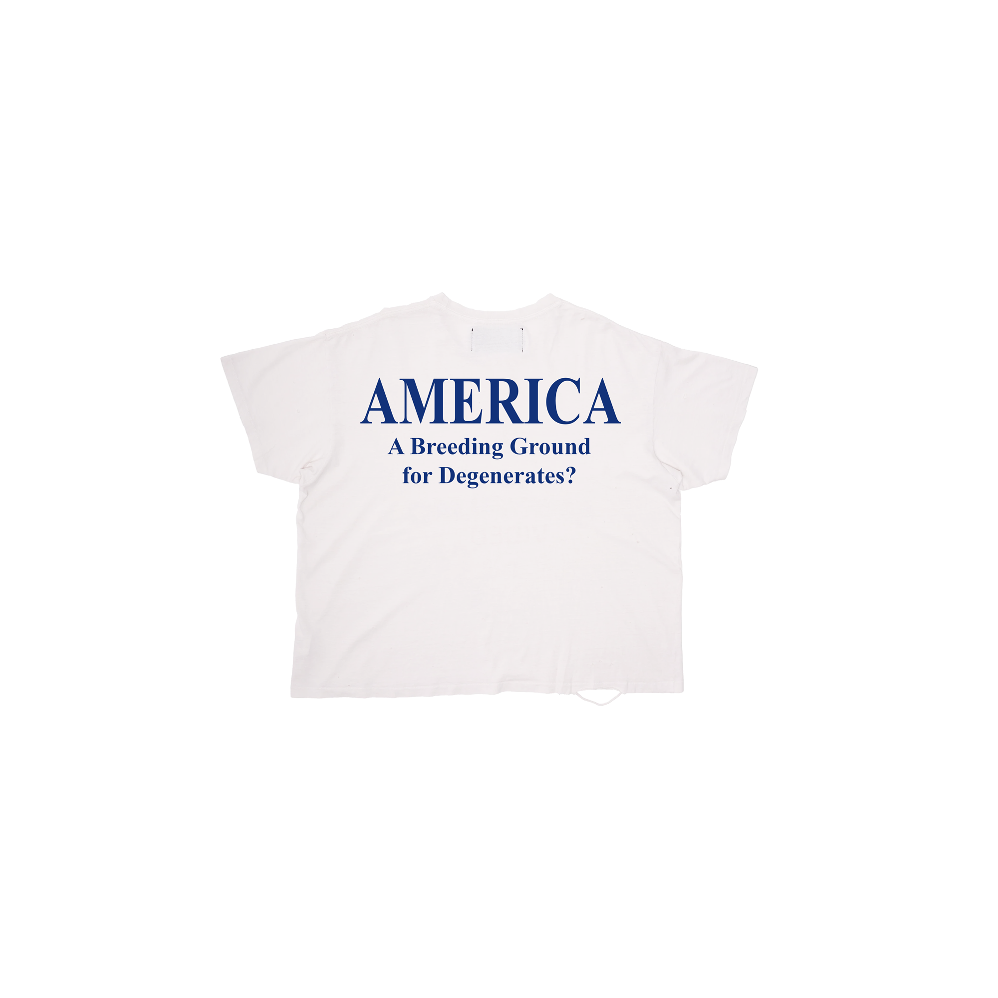 "LAND OF THE FREE"